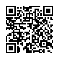 To view this 2009 Volkswagen GTI W12 650 from Gene's Transmission, please scan this QR code with your smartphone or tablet to view the mobile version of this page.